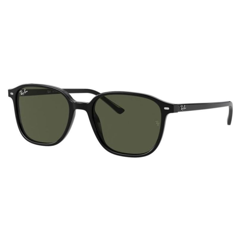 RAY-BAN, Ochelari de soare, LEONARD RB2193 - 901/31