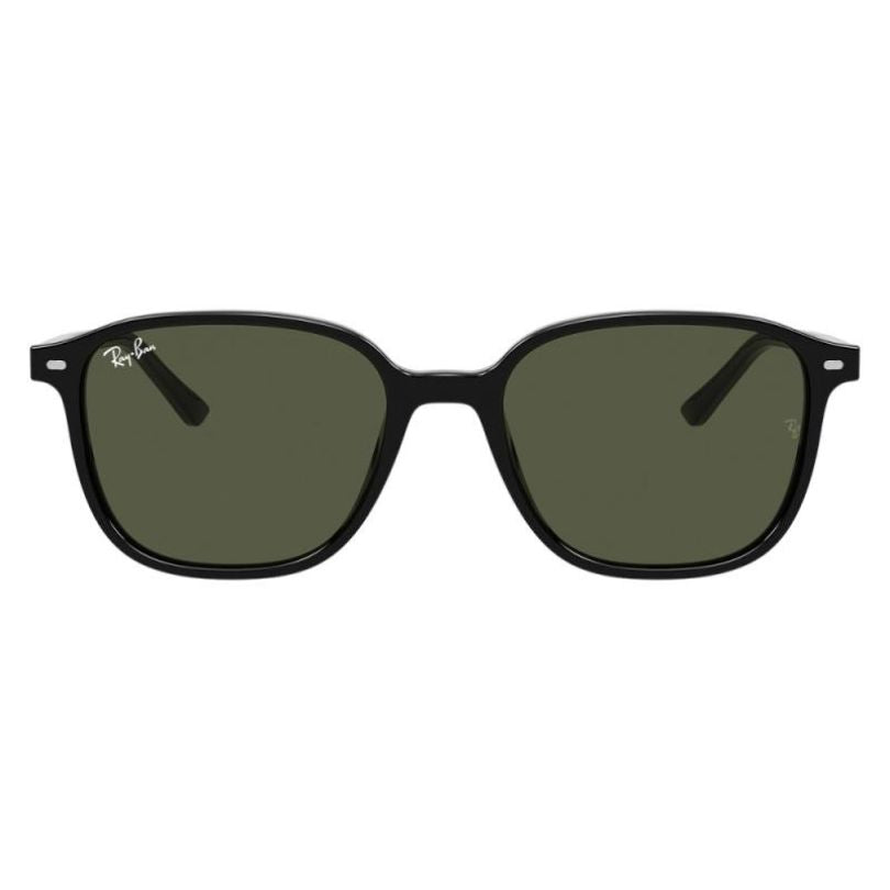 RAY-BAN, Ochelari de soare, LEONARD RB2193 - 901/31
